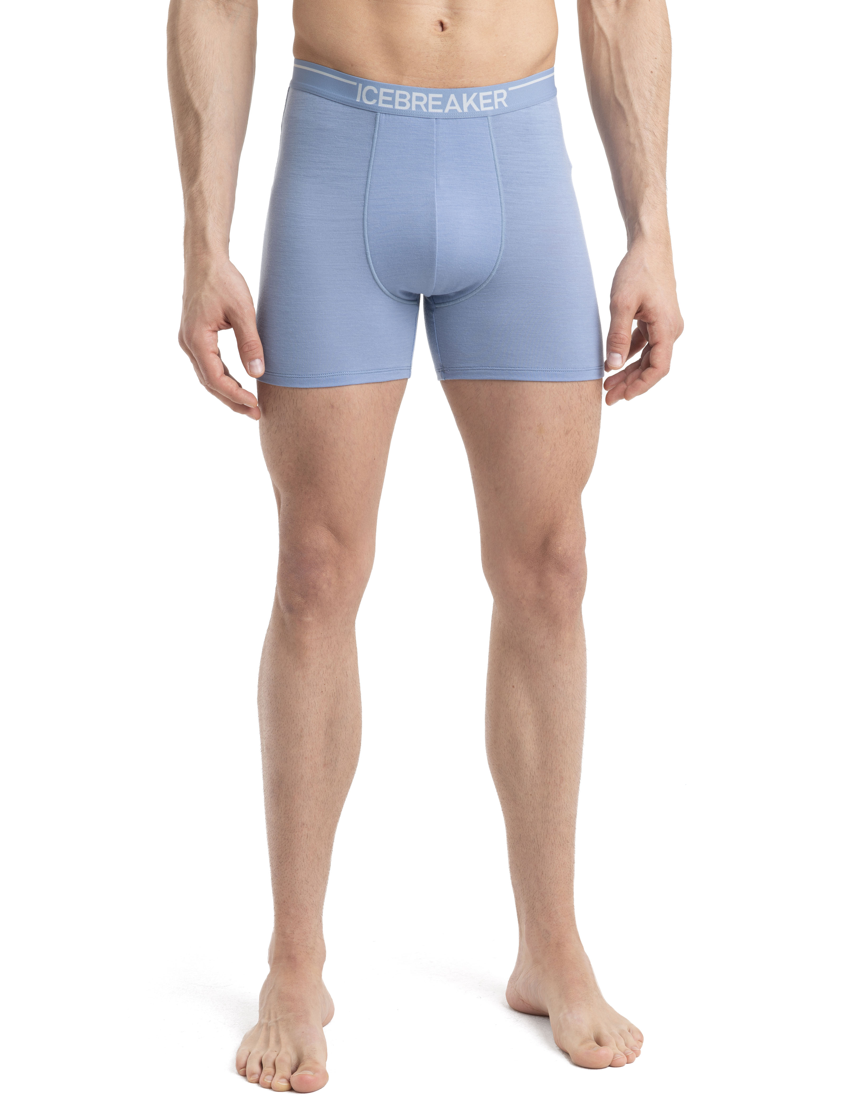 Merino Anatomica Boxers - Icebreaker (US)