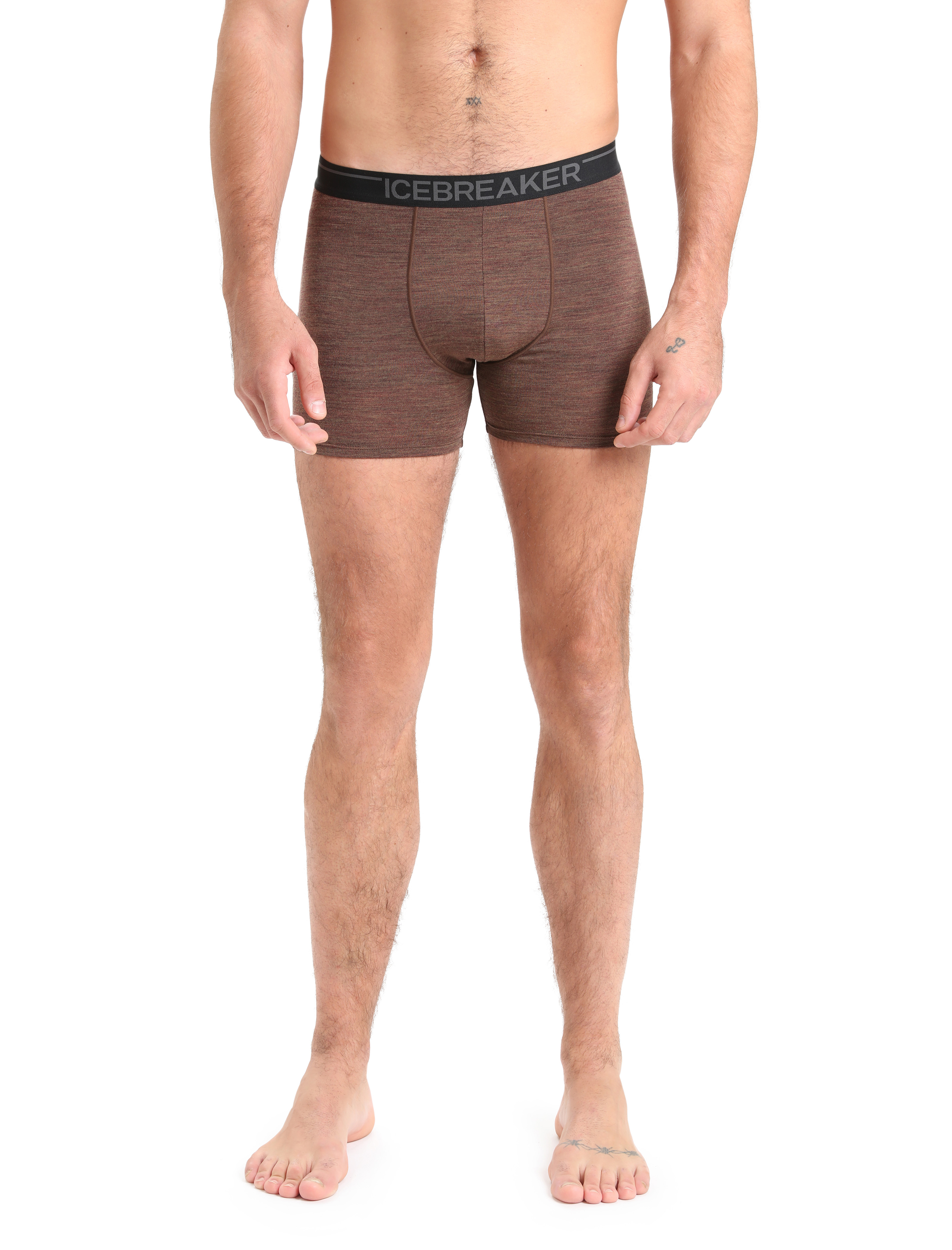 Buy Icebreaker Anatomica Boxers (103029) from £27.49 (Today) – Best Deals  on