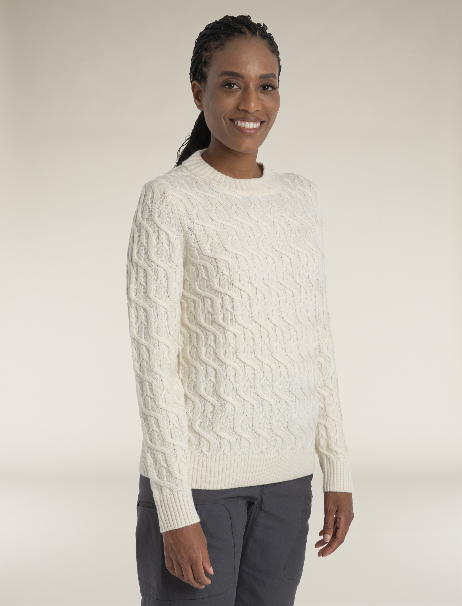 Icebreaker valley slim crewe sweater sales