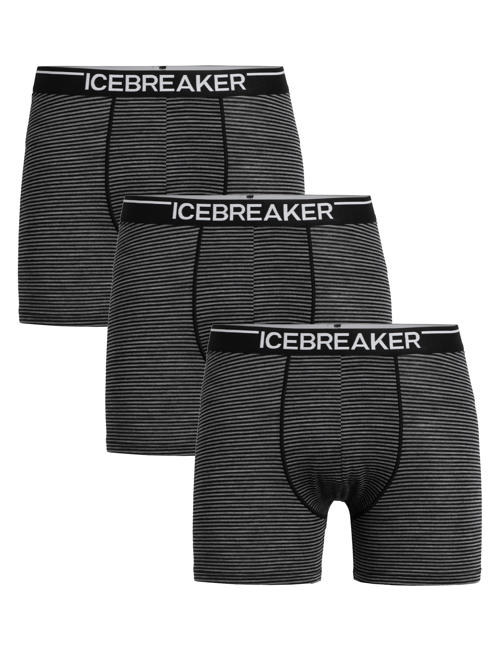 Icebreaker - Anatomica Briefs Men black at Sport Bittl Shop