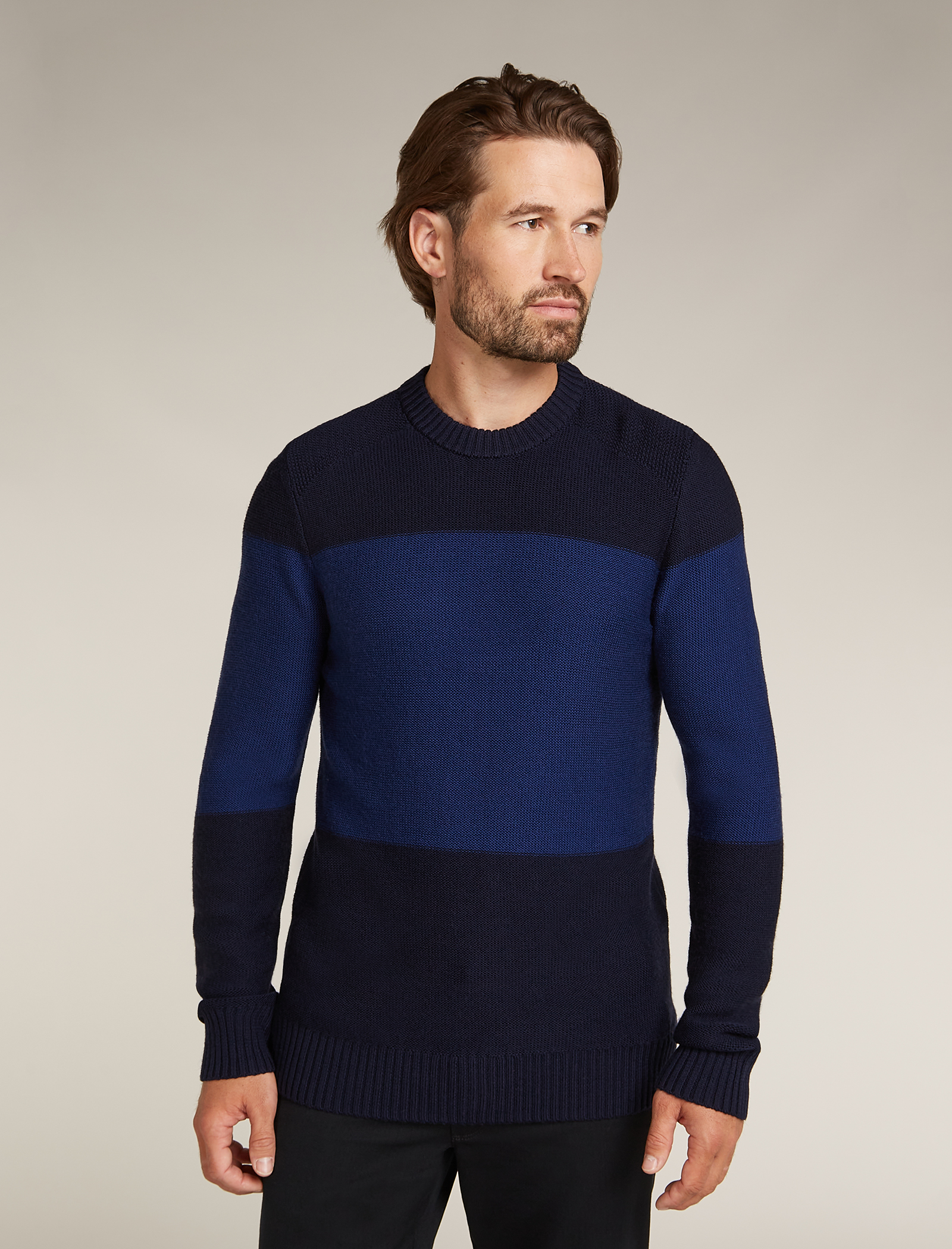 Icebreaker shearer crewe sweater sale