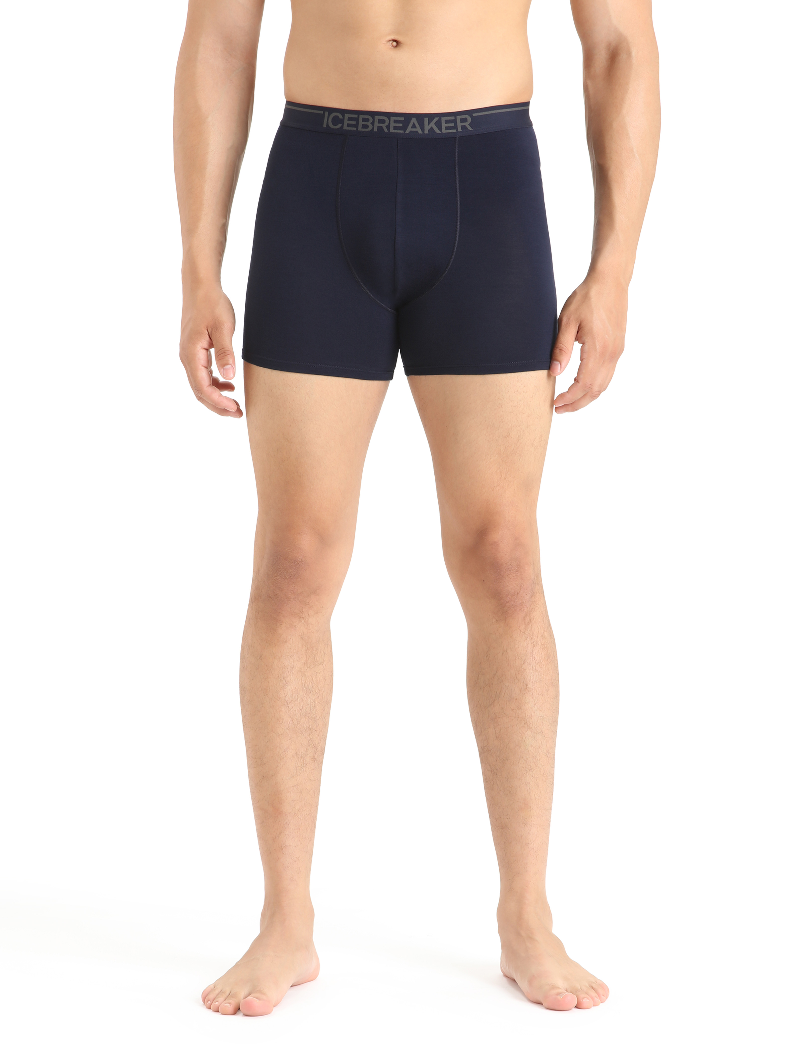 Buy Icebreaker Anatomica Boxers (103029) from £27.49 (Today) – Best Deals  on