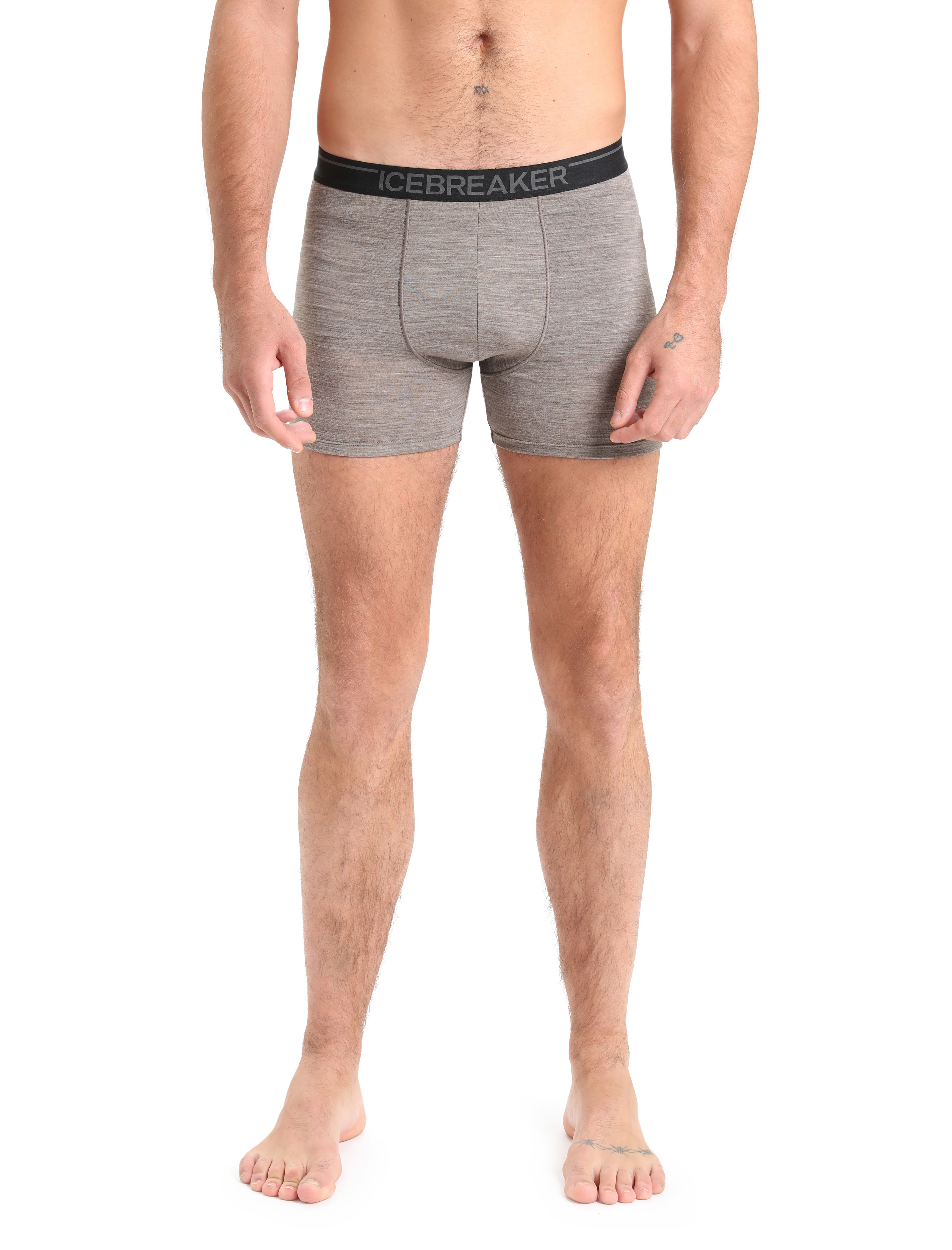 icebreaker Men's Merino Anatomica Boxers